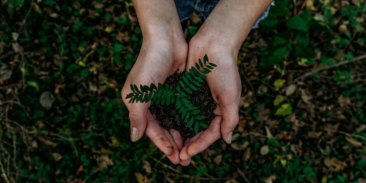 Benefits of the Circular Economy: Why Packaging Recycling Matters